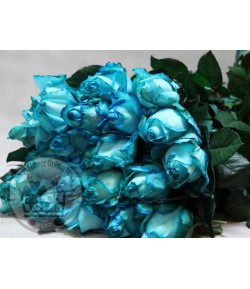 گل رز آبی (20شاخه) درجه دو